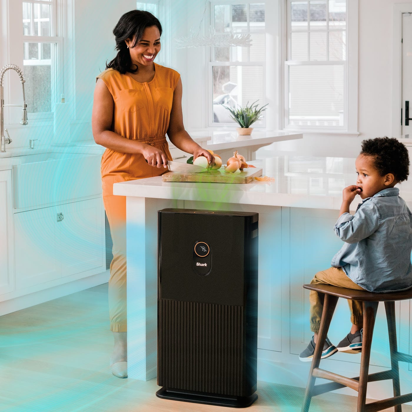 Air Purifiers Shark